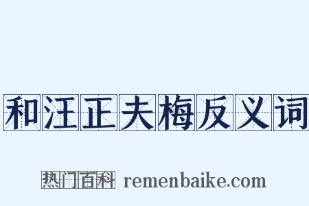 和汪正夫梅反义词是什么意思的图片